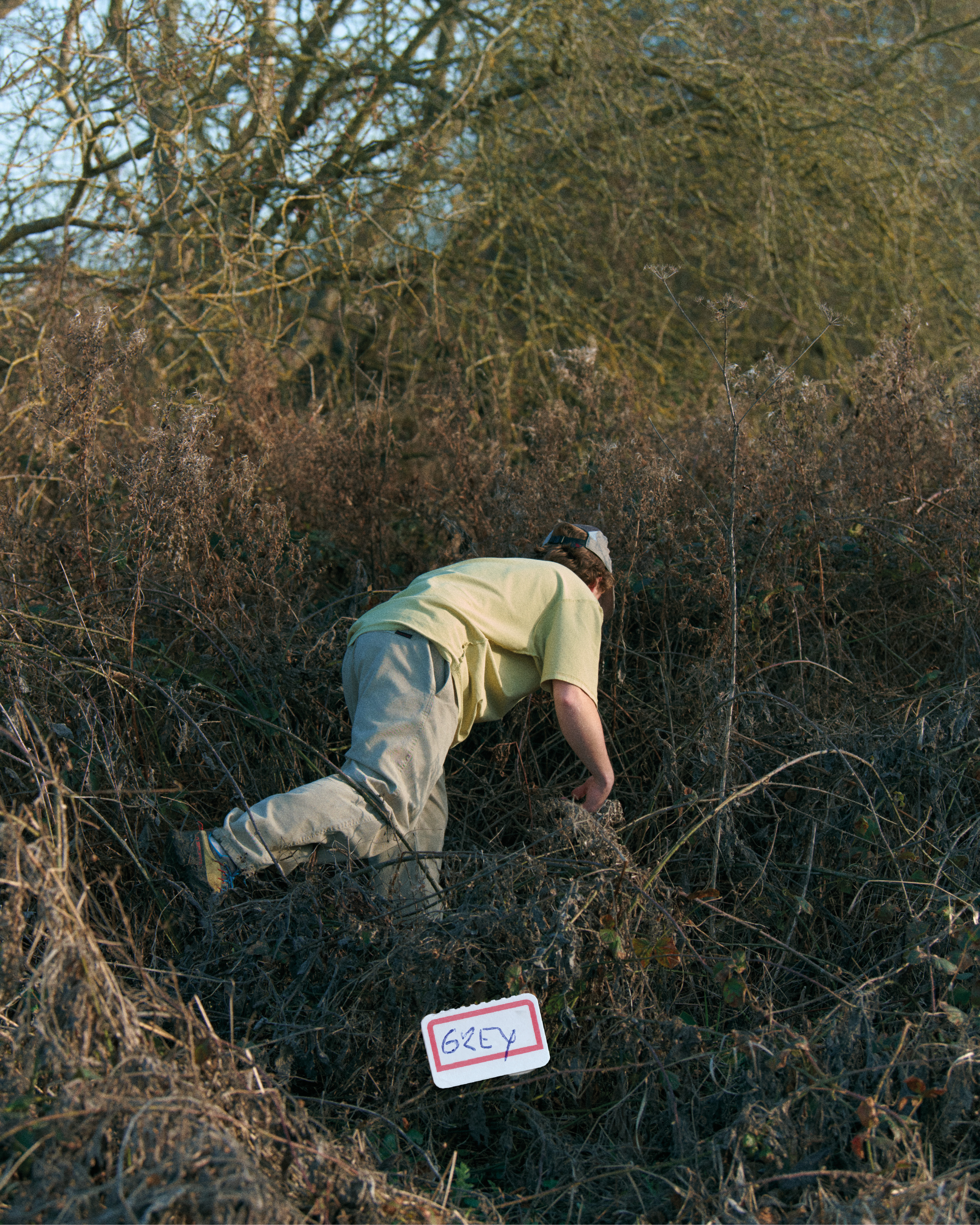 Natural Dyed Gramicci Pant Straight Fit