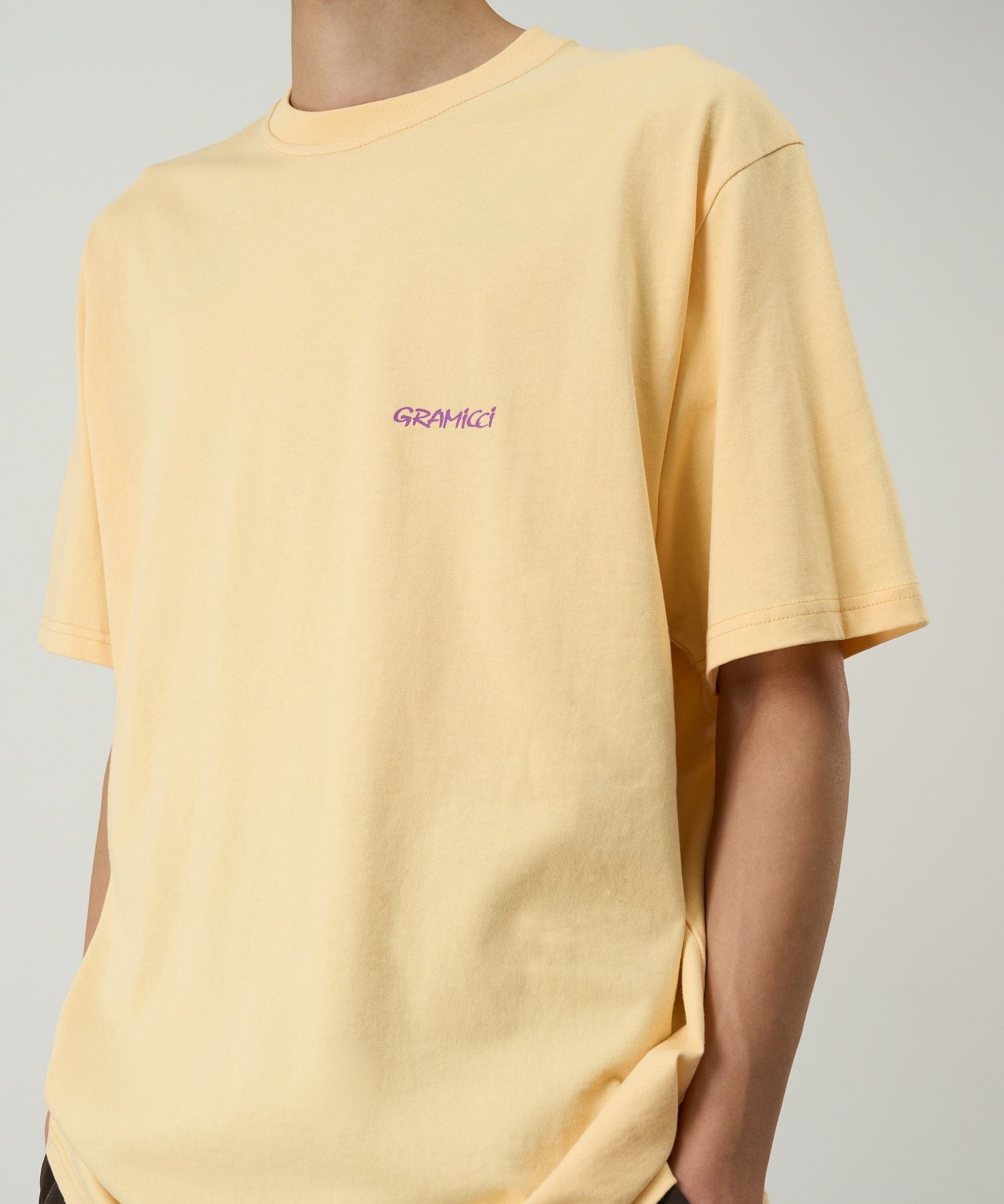 アイススカルプチャーTシャツ | グラミチ 公式通販サイト Gramicci